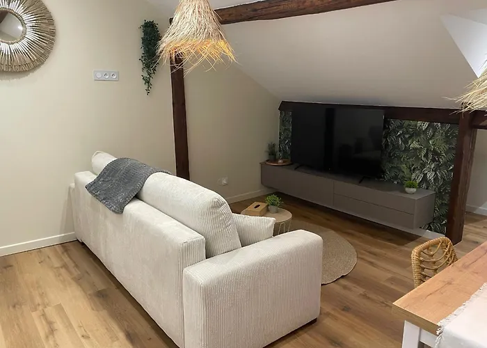 公寓 Le Cormontaigne - - 6p